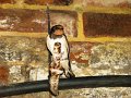 DSC09727