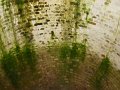 DSC00718