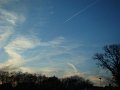DSC00727