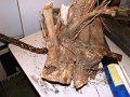 DSC04056